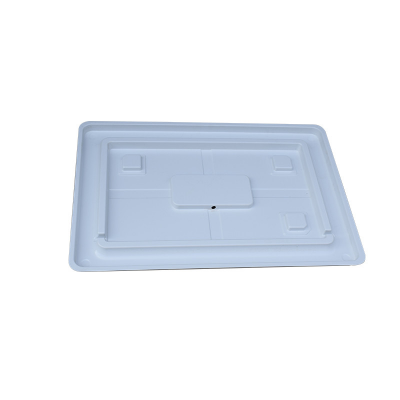 Wholesale Biodegradable Disposable Food Grade Plastic Tray